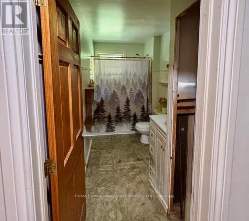 1116 Moon River Road, Muskoka Lakes, ON - Indoor Photo Showing Bathroom