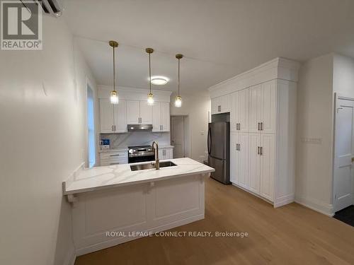24 Ashley Street, Hamilton, ON - Indoor Photo Showing Kitchen With Double Sink