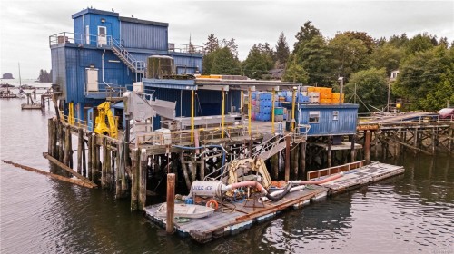 1321 Eber Rd, Ucluelet, BC 