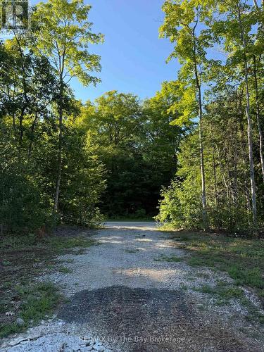 909 17 Concession, Tiny, ON 