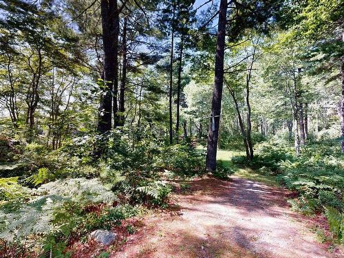 47 Riverview Drive, Lower Ohio, NS 