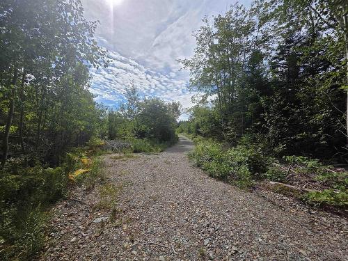 Lot Sissiboo Road, Weymouth Mills, NS 