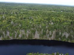 Lot Sissiboo Road  Weymouth Mills, NS B0W 3T0