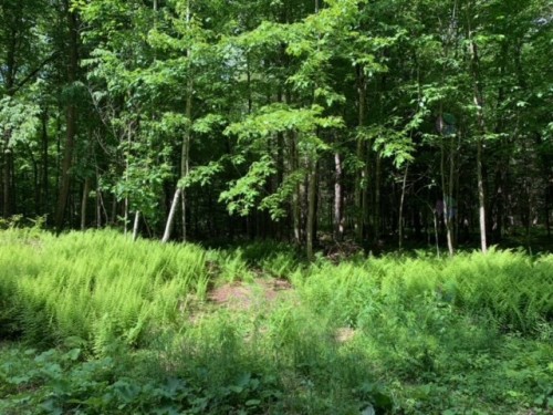 Terre/Terrain - 44 Ch. Maryhill, Harrington, QC 