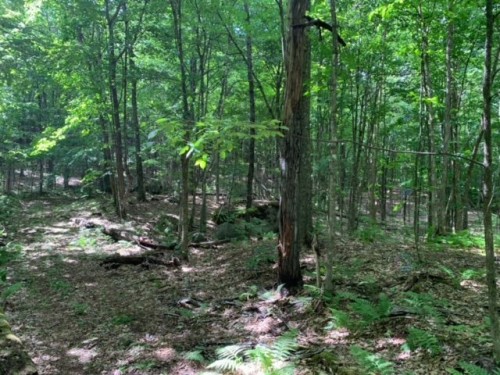 Terre/Terrain - 44 Ch. Maryhill, Harrington, QC 