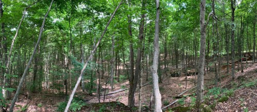 Terre/Terrain - 46 Ch. Maryhill, Harrington, QC 