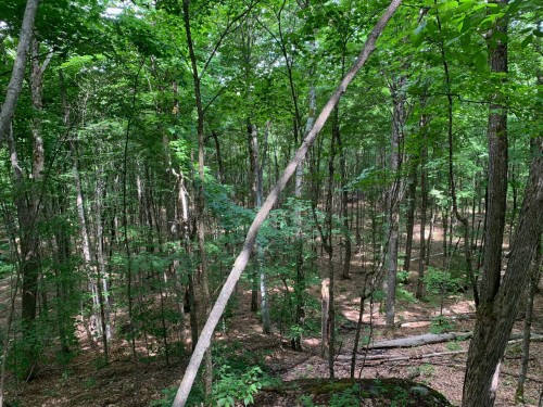 Terre/Terrain - 46 Ch. Maryhill, Harrington, QC 