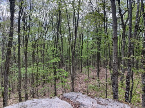 Terre/Terrain - 46 Ch. Maryhill, Harrington, QC 