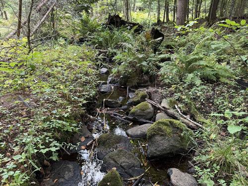 Terre/Terrain - Rue Lachance, Magog, QC 