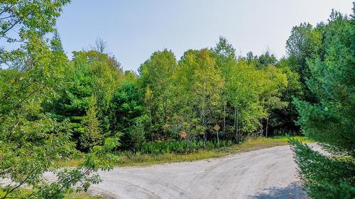 Terre/Terrain - Rue Lachance, Magog, QC 