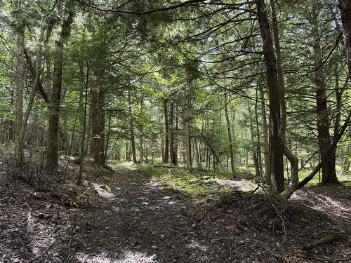 Terre/Terrain - Rue Lachance, Magog, QC 