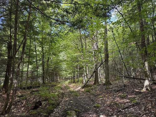 Terre/Terrain - Rue Lachance, Magog, QC 