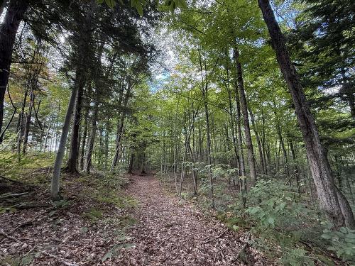 Terre/Terrain - Rue Lachance, Magog, QC 