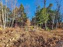 Terre/Terrain - Rue De Düren, Brownsburg-Chatham, QC 
