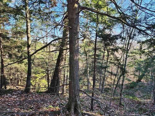 Terre/Terrain - Rue De Düren, Brownsburg-Chatham, QC 