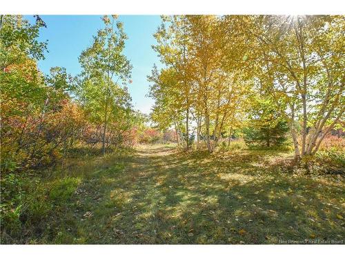 Lot Olivier Rd, Maisonnette, NB 