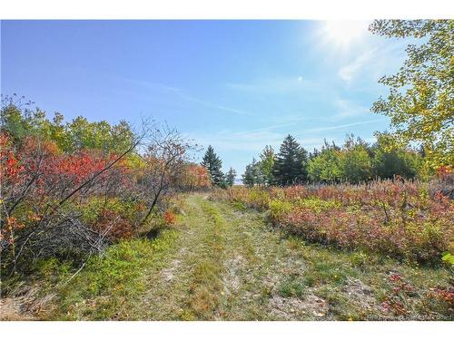 Lot Olivier Rd, Maisonnette, NB 