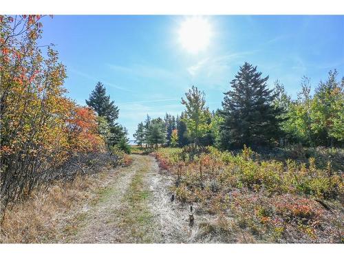 Lot Olivier Rd, Maisonnette, NB 