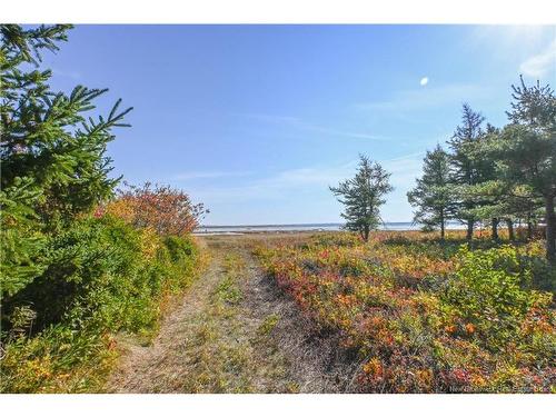 Lot Olivier Rd, Maisonnette, NB 