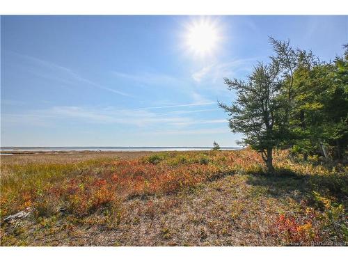 Lot Olivier Rd, Maisonnette, NB 