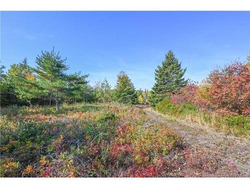 Lot Olivier Rd, Maisonnette, NB 