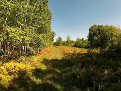 PCL 46-3 GOVERNMENT RD  Rainy River, ON P0W 1L0