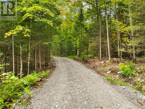 603 C2 West Branch Rd, Webbwood, ON - Outdoor