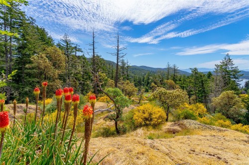 5154 Sooke Rd, Sooke, BC 