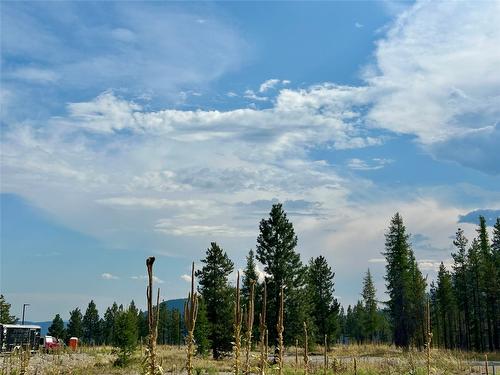 126 Ponderosa Point, Kimberley, BC - Outdoor With View