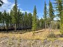 126 Ponderosa Point, Kimberley, BC  - Outdoor With View 