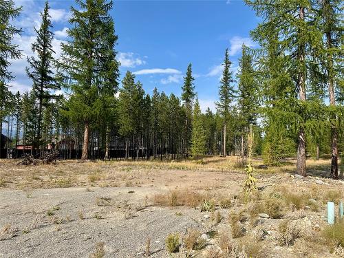 122 Ponderosa Point, Kimberley, BC - Outdoor With View