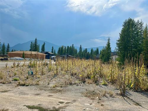 122 Ponderosa Point, Kimberley, BC - Outdoor With View