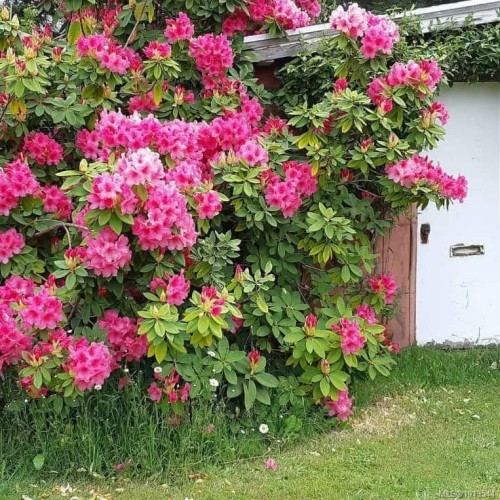 6883 Westcott Rd, Duncan, BC 