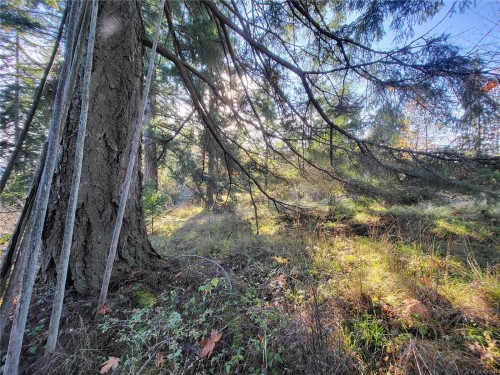 6883 Westcott Rd, Duncan, BC 