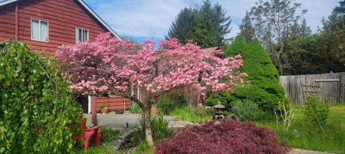 6883 Westcott Rd, Duncan, BC 