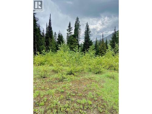 Lot 2 Granite View Road, Rossland, BC 