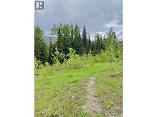 Lot 2 Granite View Road, Rossland, BC 