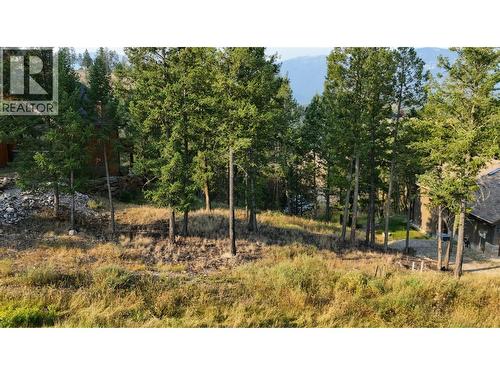 2516 Cobblestone Trail, Invermere, BC 