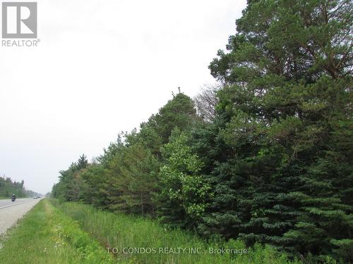 19633 48 Highway, East Gwillimbury, ON 