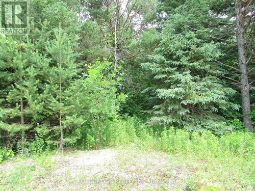 19633 48 Highway, East Gwillimbury, ON 