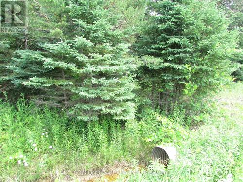 19633 48 Highway, East Gwillimbury, ON 