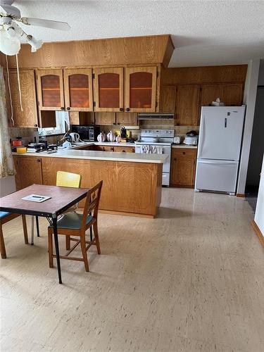 169 3Rd Avenue E, Benito, MB - Indoor Photo Showing Kitchen