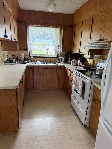 169 3Rd Avenue E, Benito, MB - Indoor Photo Showing Kitchen With Double Sink