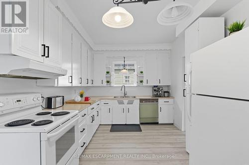 157 East 5Th Street, Hamilton, ON - Indoor Photo Showing Kitchen With Double Sink