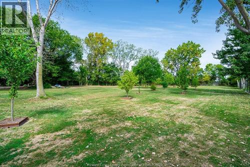 633 Point Pelee Drive, Leamington, ON 