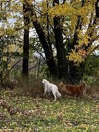 LOT SAPPHIRE DRIVE N  South Glengarry, ON K6H 7J1