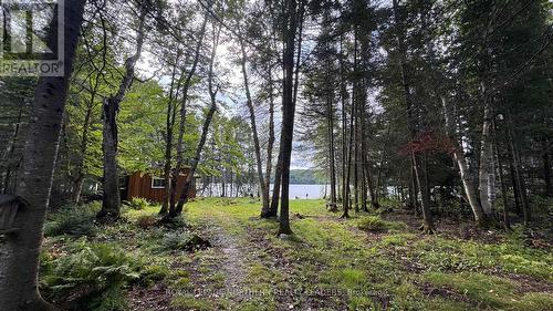 Lot 11 Horwood Lake, Timmins (Tm - Outside West), ON - Outdoor
