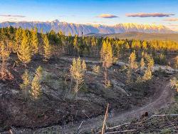 Lot 12 CHRISTIAN Road  Cranbrook, BC V1C 6V5