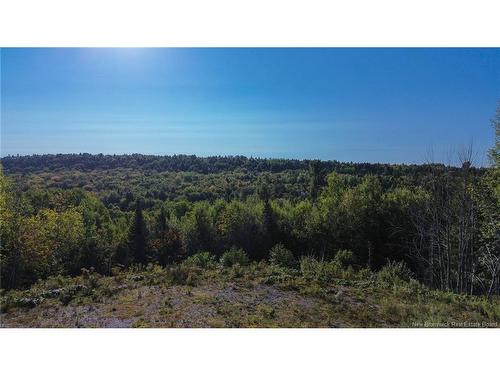 130 Leeland Wy, Killarney Road, NB 