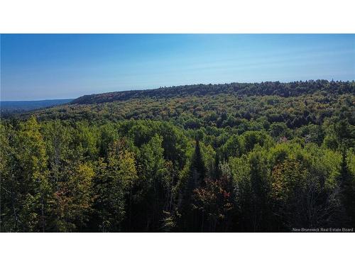 130 Leeland Wy, Killarney Road, NB 